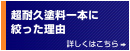 超耐久塗料一本に絞った理由　詳しくはこちら→
